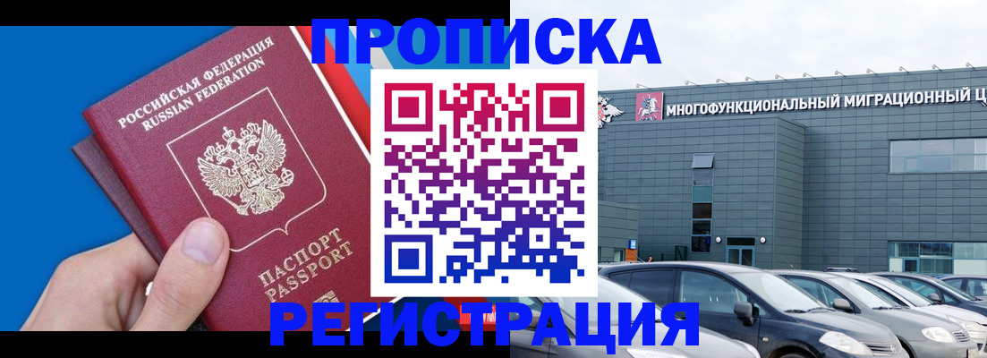 прописка для школы в Курске