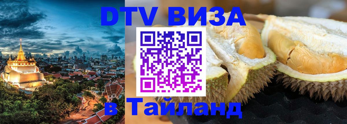 Сколько стоит DTV виза — актуальные цены, оформление даже без документов - Курск 